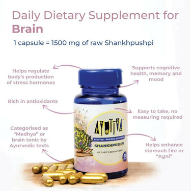 https://cdn.shopify.com/s/files/1/1857/6931/files/V2V7cKX91f-578217.jpg?v=1736151234